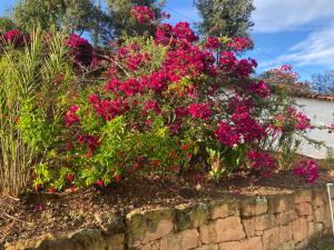 Casa Luna Hotel Campestre & Spa