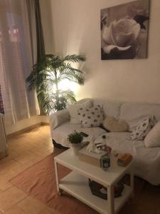 Appartement cosy