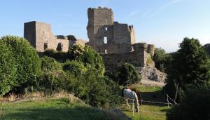 Maisons de vacances Gite de Genty : photos des chambres