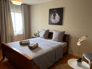 B&B / Chambres d'hotes Le Saint Andre : photos des chambres