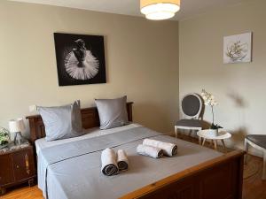 B&B / Chambres d'hotes Le Saint Andre : photos des chambres