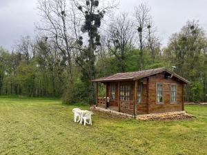 Chalets Le domaine des oiseaux : Chalet 1 Chambre