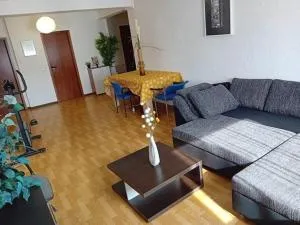 WORKATION Taunus Jaguar Zentral Viel Platz Comfort 6 Personen Küche, Waschmaschine & Trockner - Eppstein