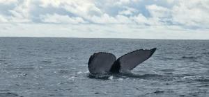 Hotel Bahía Yubarta