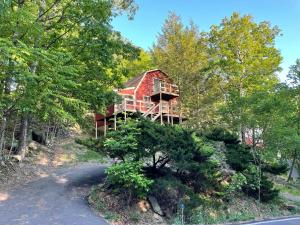 Saw Creek Cabin - Regent Hilltop