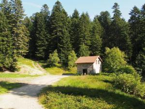 Chalet familial spacieux avec sauna au cœur du Bessat - FR-1-496-24