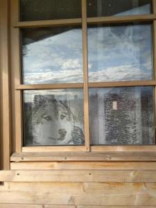 Kilplaste küla kämpingud