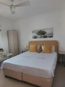 הפנינה של כרמית - Sāfī