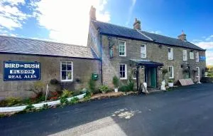 Bird In Bush Elsdon - Elsdon