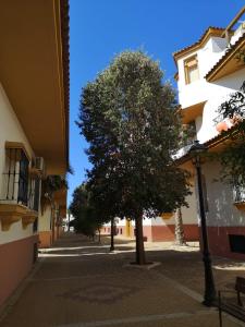 Apartamento Aretusa Luz