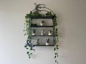 Esperance Little Units 3