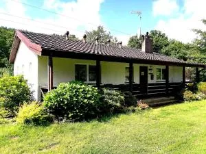 Sloneczko1 - 斯莫尔德兹诺