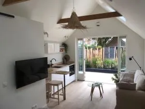 Dune Vieuw - Vogelenzang