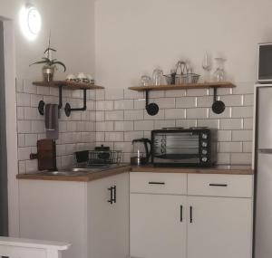 Pet Friendly Bartholomeus Diaz beach