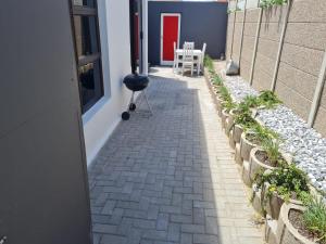 Pet Friendly Bartholomeus Diaz beach