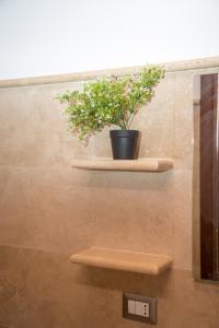 Casa vacanza Colosseo 2