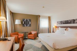 Hotels Holiday Inn Mulhouse, an IHG Hotel : Chambre Deluxe