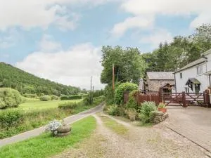 The Little White Cottage - Gwernymynydd