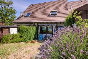 Maisons de vacances Le Tonneau Bleu - Appt avec piscine partagee : photos des chambres