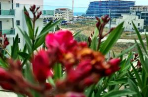 Mamaia Nord Residence