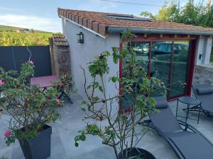 Appartements La bulle beaujolaise : photos des chambres