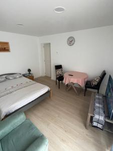 Appartements Grand studio pour 1 ou 2 personnes : photos des chambres