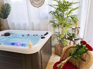 Appartements Appartement avec Jacuzzi et terrasses au calme : photos des chambres