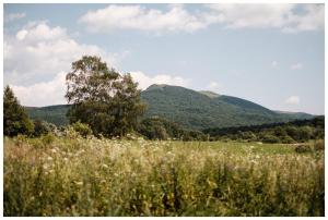 Dom Malowany Wetlina