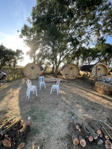 Campings CAMPING ANIMAL KING : photos des chambres