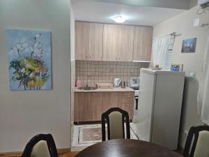 Luxury Apartments Belgrade