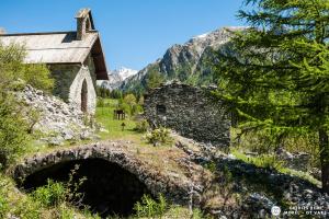 Chalets Ski-in/Ski-out Chalet, Quiet Location, and Jacuzzi : photos des chambres