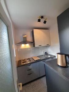 Apartment Pinia with free parking