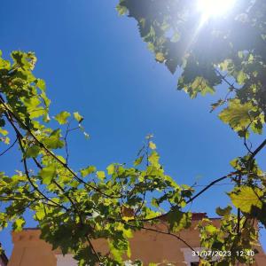 Rhodes Youth Hostel