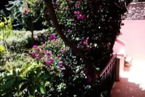 Despina's Home - Kounavádhes