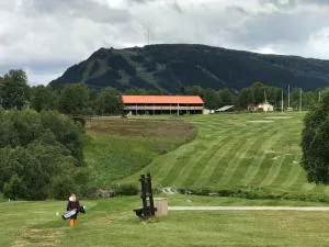 Ljusnedal lägenhet med golf, paddel, fiske och skidåkning - Baggården