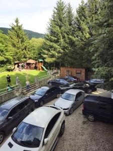 Pensiunea Zece Brazi Cheia