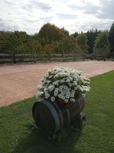 caserio vasco con piscina y barbacoa