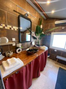 Maisons de vacances Nid du merle avec sauna et jacuzzi privatif : photos des chambres