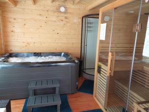 Maisons de vacances Nid du merle avec sauna et jacuzzi privatif : photos des chambres