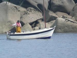 Maisons de vacances Comfortable holiday home in a haven of peace, Baie de Morlaix : photos des chambres