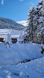 Appartements Demi-Chalet l'Ancolie -- Prox pistes : Appartement 3 Chambres