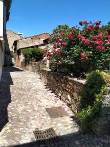 Maisons de vacances Gite Chineur, a deux pas du centre historique et commerces d Auvillar : photos des chambres