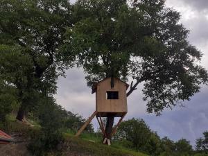 Menedék, Silica - Szilice