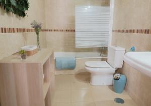 Sunny Holiday Apartment in the historic centre- Private Parking