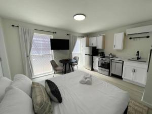 Cute Microapartment Walkable to Everything