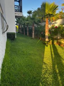 Marina golf ASSILAH vue verte