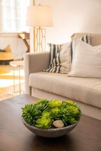 Hyde Park Comfort with Office Near Everything