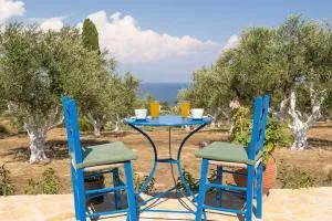 Viola's petite paradise - Asíni