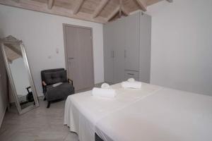 Violas petite paradise