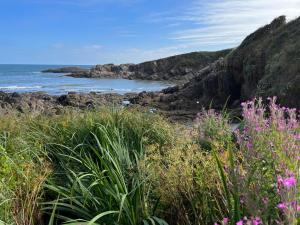Maisons de vacances Studio GiTE COSY sur Jardin : photos des chambres